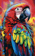 The parrot as a map of 120 by 192 pixels