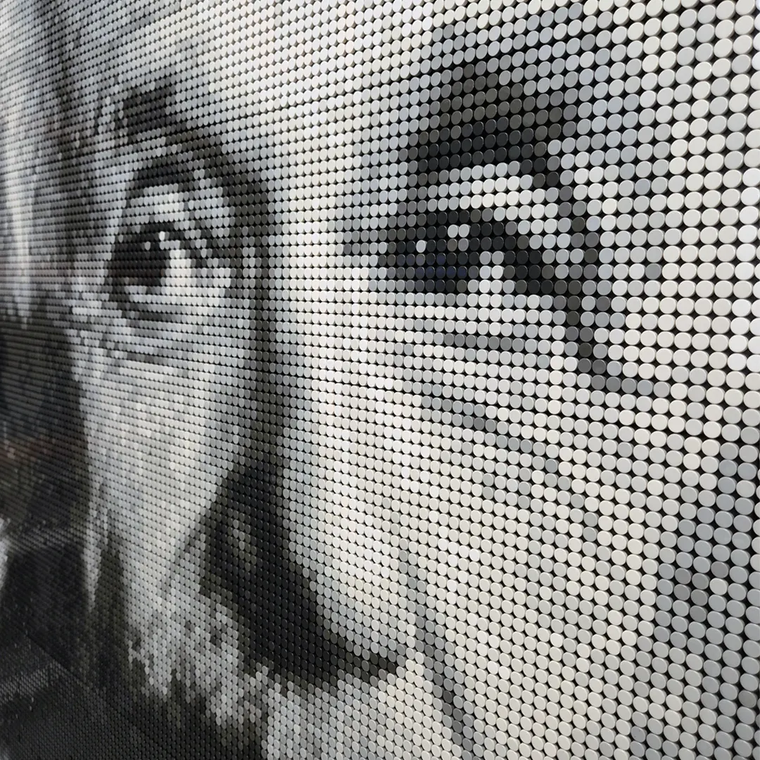 The eyes of the portrait, close up